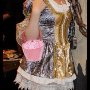 Marie Antoinette historical costume